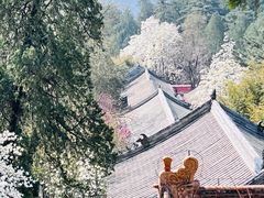 -潭柘寺景区