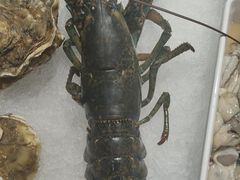 -渔码头食府·20年蓬莱老字号(登州路店)