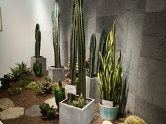 -葡萄集|滋味新疆菜·精酿酒馆(瑞豪酒店)