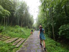 -广州市石门国家森林公园