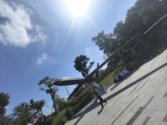 -成飞公园