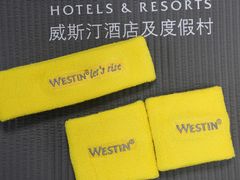 -广交会威斯汀酒店