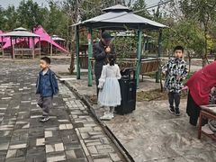 -西青郊野公园