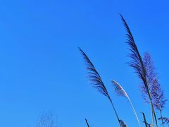 -成都中医药大学(温江校区)