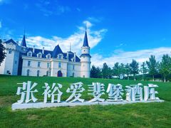 -北京张裕爱斐堡酒庄