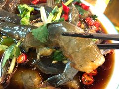 生腌活虾-唔止卤嘢·潮州府城菜(鹭江店)