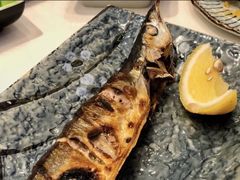 -禾绿回转寿司(苏宁广场店)