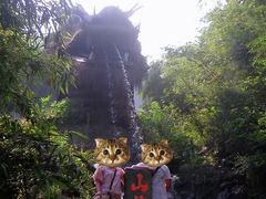 -山沟沟景区