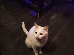 -后巷酒吧Back Alley(未来广场店)