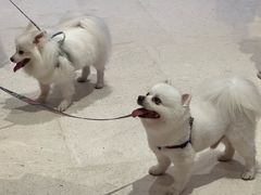 -深圳湾万象城(南山店)