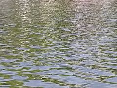 -春兰国宾馆(凤城河风景区老街店)