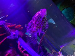 -沈阳海洋探索中心