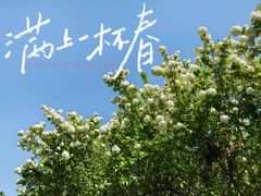 -蠡湖大桥公园