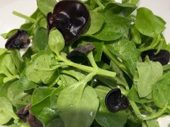 -和源祥·日照菜扛把子(万平口一店)