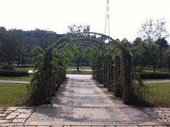 63-南京特殊教育师范学院(燕子矶校区)