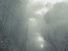 -仙霞关景区