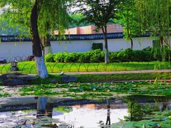 -莫愁湖公园