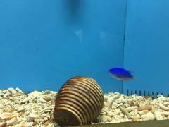 -北戴河圣蓝海洋公园