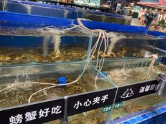 水产区-圣罗巴海鲜自助(黑金店)