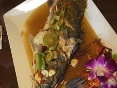 -Daddy Nimman Chiang Mai