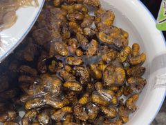 -王婆炒鱼(总店)