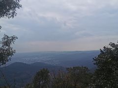 -雨花胜境