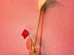 大堂-幸薈飯堂