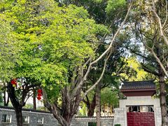 -惠州西湖丰渚园
