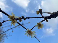 -合肥生态公园
