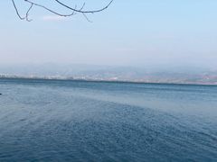 -西昌邛海湿地