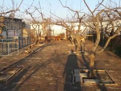 -1982农场