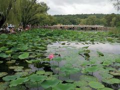 -承德避暑山庄景区