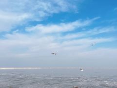 -天津东疆湾沙滩景区