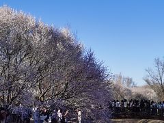 -北京奥林匹克公园