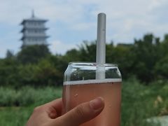 -Supine Bistro溯泮餐厅