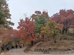 -国家植物园南园