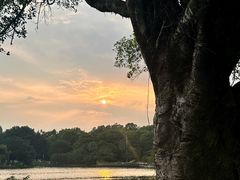 -东莞植物园