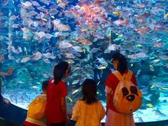 -成都浩海立方海洋公园