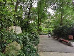 -成都市活水公园