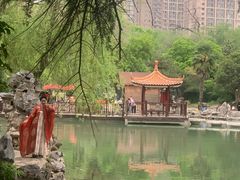 -西苑公园