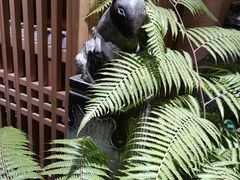 -成都锦城原舍酒店(锦里武侯祠店)