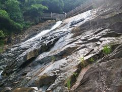 -广州白江湖森林公园