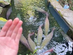 -青青世界