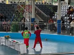 -泉州海丝野生动物世界