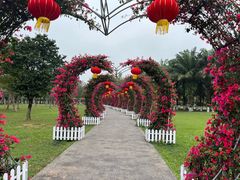 -万绿园