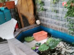 -二姐家三个拿手菜·北塘海鲜·大馅锅贴王(北辰店)