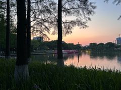 -圩墩遗址公园