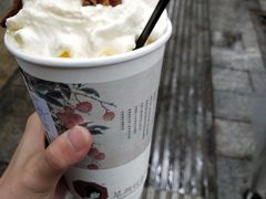 -茶颜悦色(岳麓山顶店)