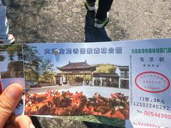 -金龙寺国家森林公园