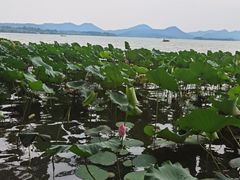 -湖畔居茶楼(湖滨店)